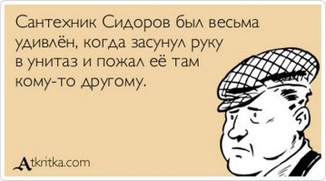 Я сантехник, я так вижу!