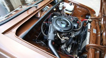 Меня одного смутил цвет жижи в расширительном бачке?