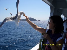 Фотоподборка за 30.10.2015