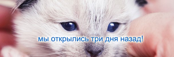 Мы открылись! 