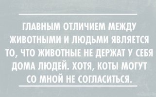23 открытки с отборным юмором
