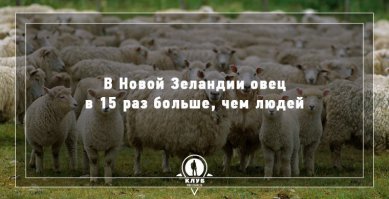 У нас сейчас на дорогах то же самое.