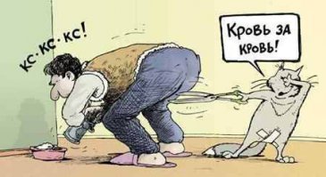 Когда пришел забрать собаку от ветеринара