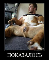 Да не показалось-КРИПТОРХ, батенька, крипторх.