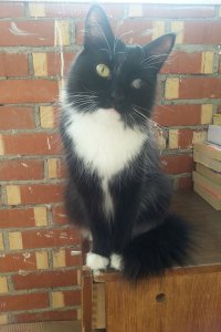 Было и стало)))