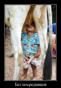 Когда реально очень хочется кушать