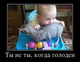 Когда реально очень хочется кушать