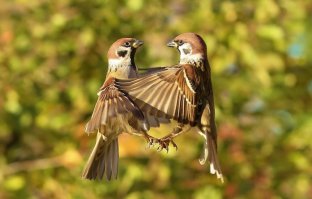 25 фотографий, поражающие тем, насколько вовремя они сделаны