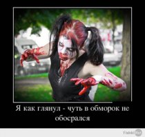 Правильные зайцы и кошки