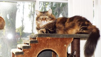 А вот что было и стало у меня.