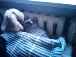 Фотографий которые согревают