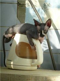 Фотографий которые согревают