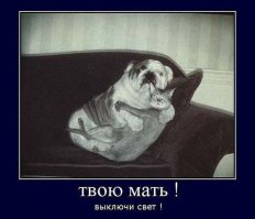 Всего понемногу 