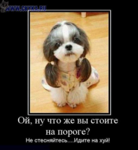 Подборка демотиваторов, которые поднимут вам настроение!