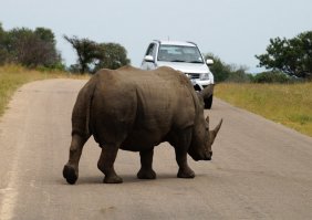 Бывает и хуже