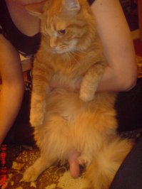 Показалось