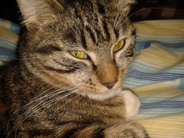 Было- стало