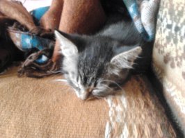 Было- стало