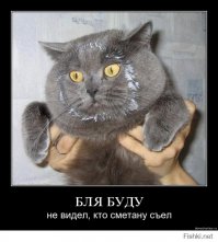 А потом такой сразу как бы не при делах