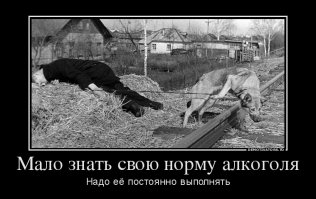 Как пьют спиртные напитки