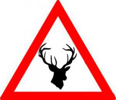 Да не, у нас скорее..