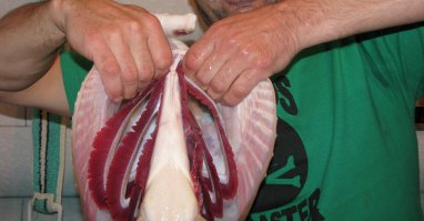 История одной летней рыбалки