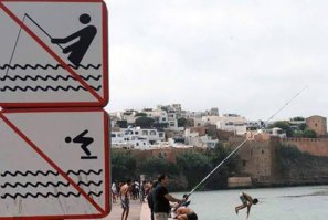 25 фотографий, поражающие тем, насколько вовремя они сделаны