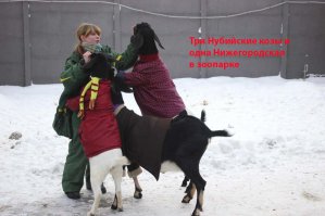 Так точнее ;)