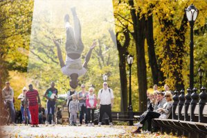 Фотоподборка за 02.11.2015