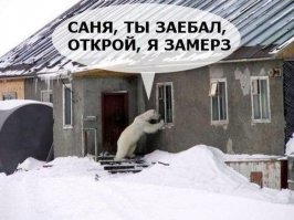 Им срочно нужно попасть внутрь