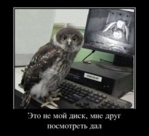 10 самых невероятных секс-рекордов