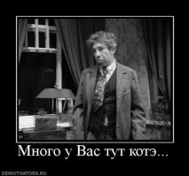 Найди кота на фотографии или настоящие мастера маскировки