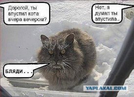 Им срочно нужно попасть внутрь