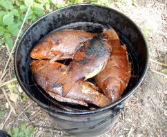 Ну вот, раздразнили. Тоже есть чё вспомнить. Cвеже пойманный карась закопченный прямо на берегу.