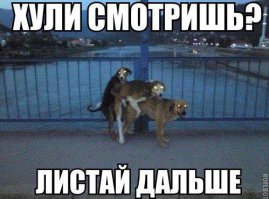 Как выглядит рабочий день самого скандального визажиста порноиндустрии