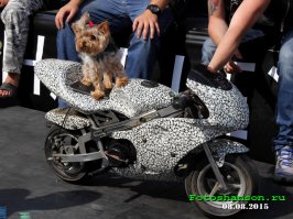 Мотоциклы всякие