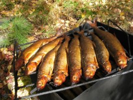 Закоптил мясо