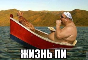 Тигр походу до берега не дотянет