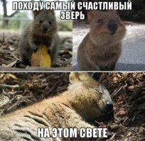  Николай Расторгуев задолго до "Любэ". 1979 год