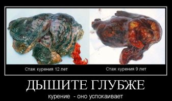 Не советую!