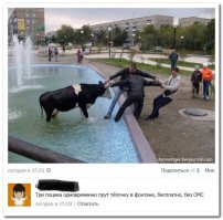 Смешные комментарии из социальных сетей