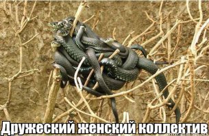 Фотоподборка за 03.11.2015