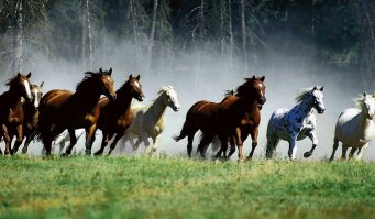 ... напоминает :)