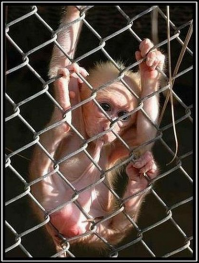 Ты - не ты, когда голоден!