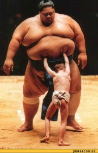 Самые интересные факты о борьбе сумо