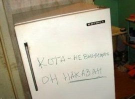 Записки на холодильнике