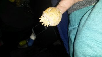 Фотки после моего путешествия по Казахстану: