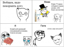 Как обмануть кота 