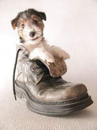 вот спасибо