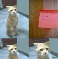 Записки на холодильнике
